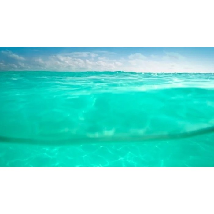 lilmermaidxx