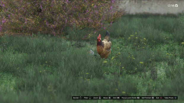 GTA 5 Wildlife Photography Challenge To Get The Kraken Sub GamesRadar 1024 80 