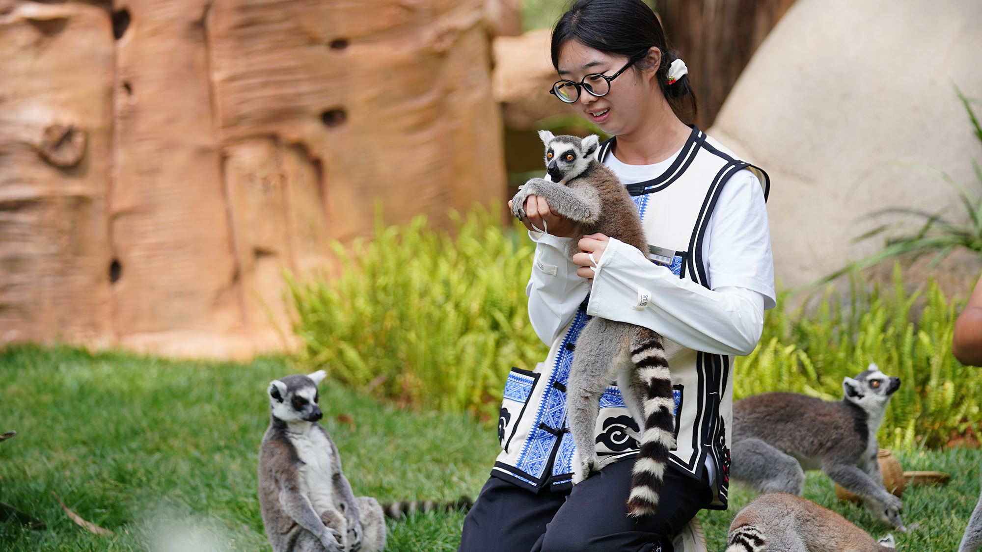 Lemurs Dying from Human Herpesvirus: The Shocking Truth Behind 'Lemur Yoga' (2026)