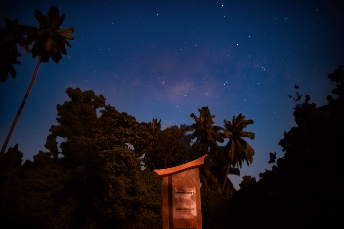 Sobre las palmeras se muestra un cielo nocturno estrellado. Un minumento es visible en la parte inferior de la imagen.