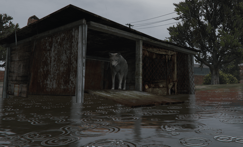 The Tough Life Of An Urban Coyote In GTA 5 PC Gamer 840 80 