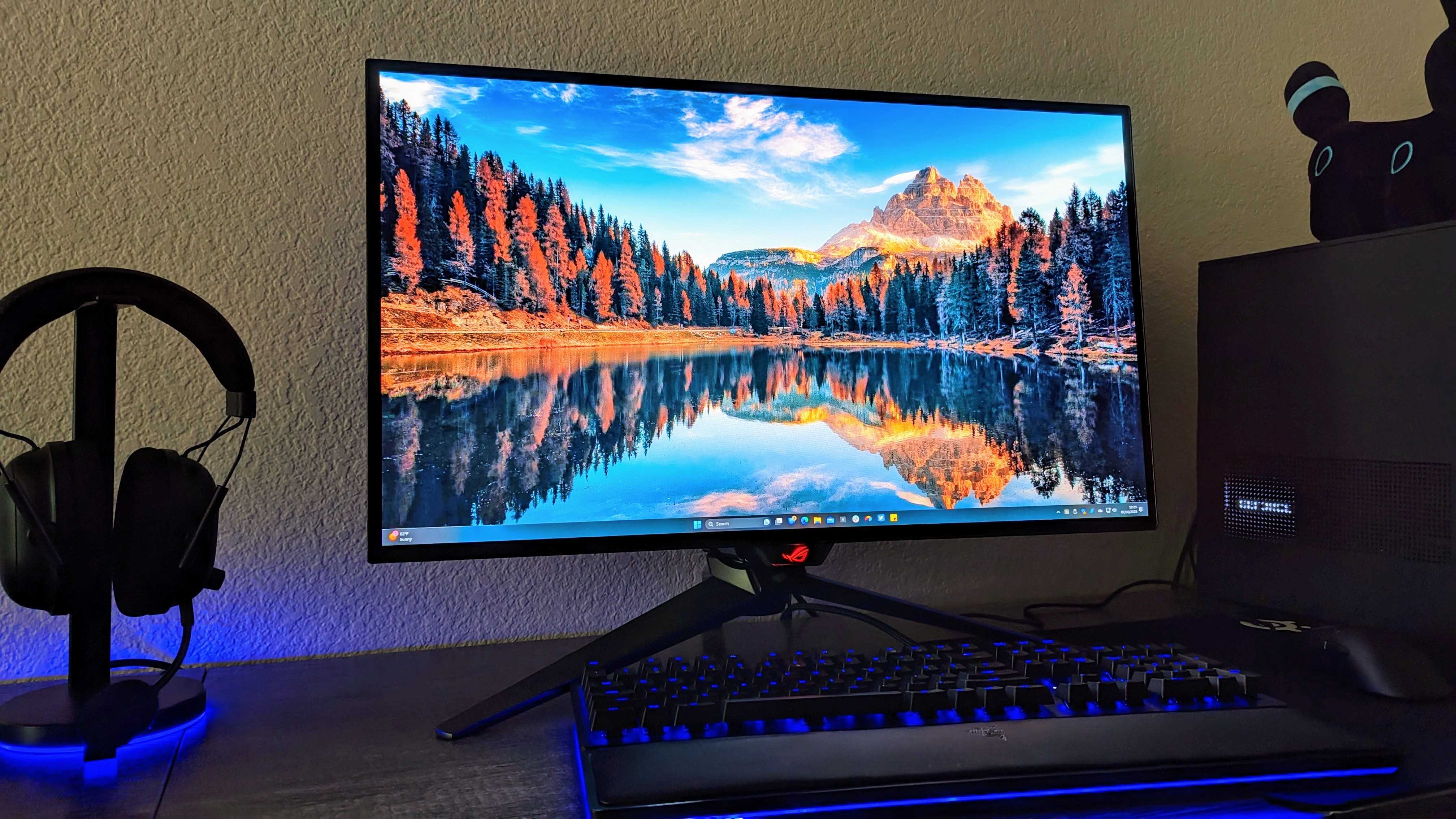 Who makes the best computer monitors