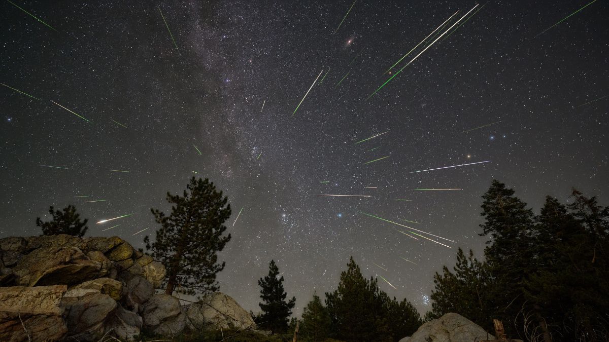 The Perseid Meteor Shower: When and How to Watch (2026)