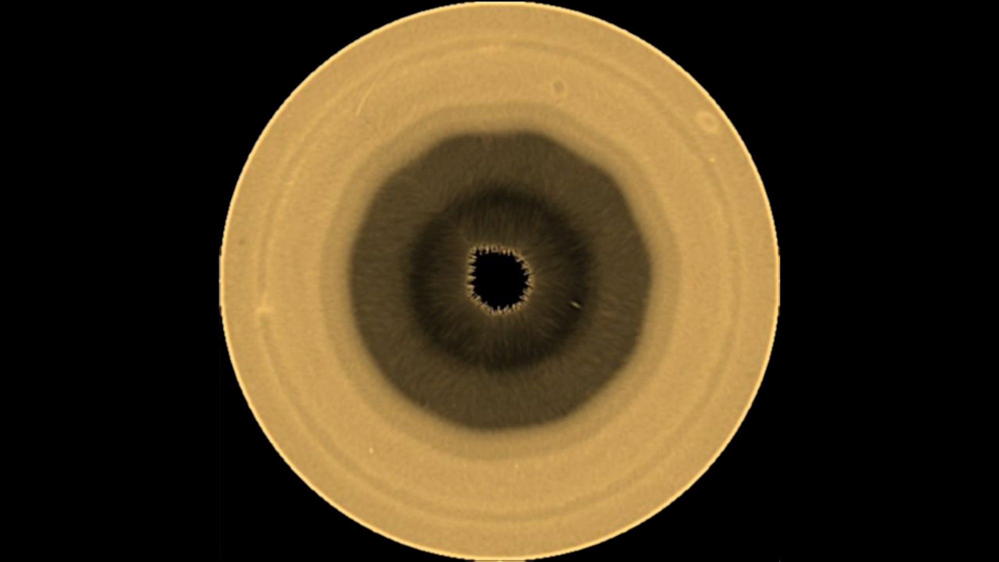 Unveiling Saturn's Secrets: The Mysterious 10-Sided Cloud Structure (2026)