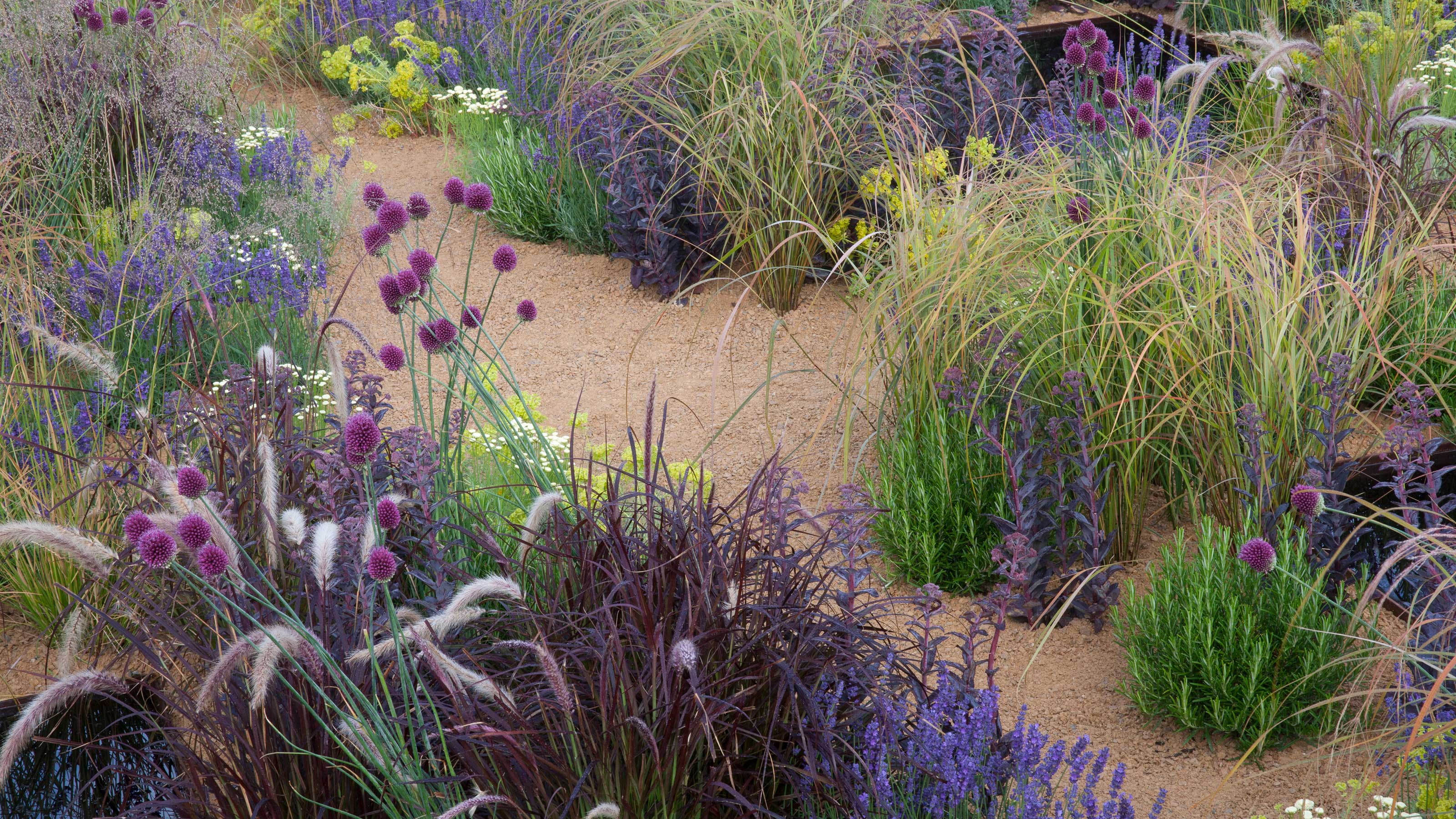 Landscaping with grasses: 10 clever ways to use these plants