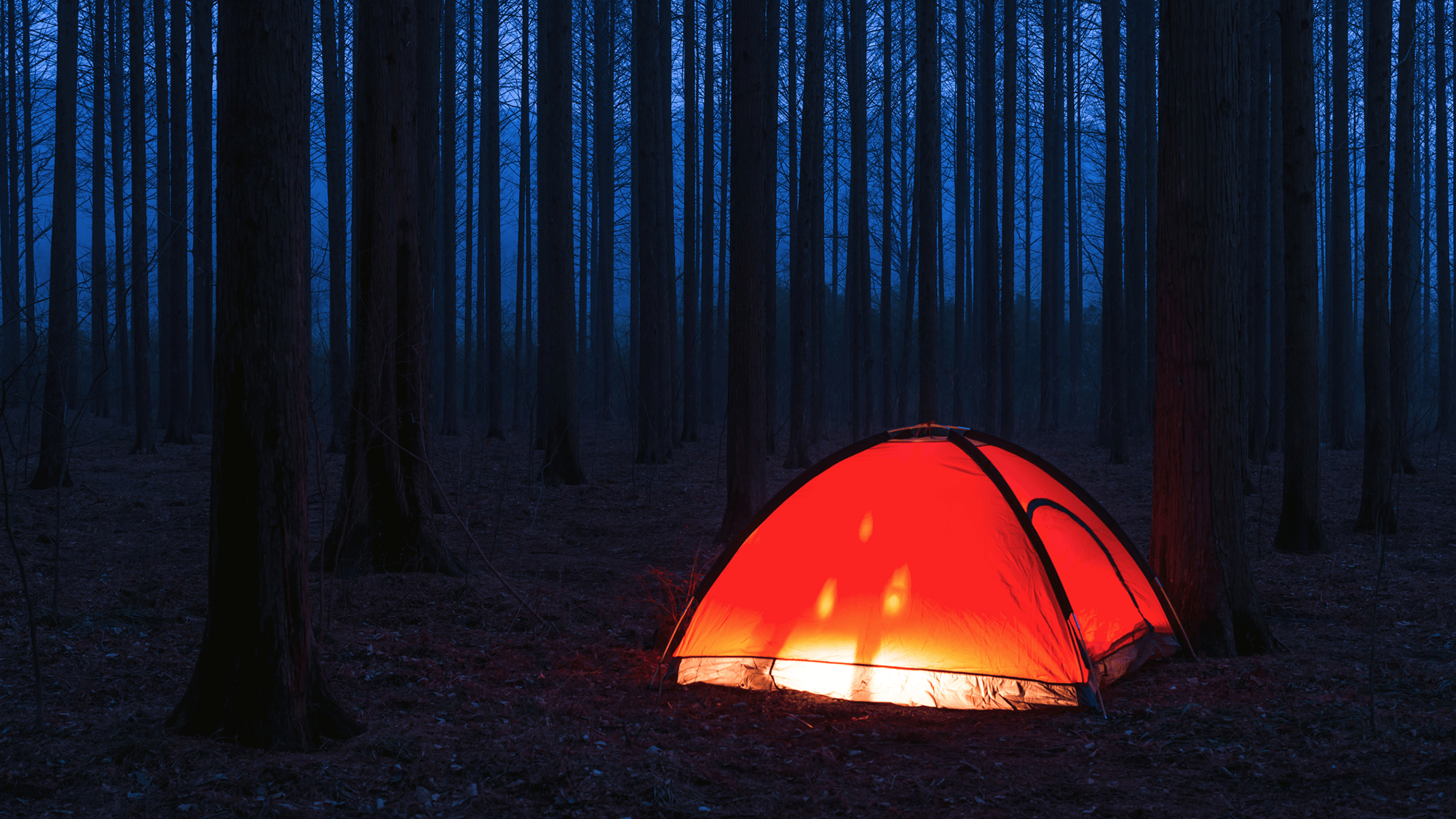 Magnetoelastic Tent: Powering Devices with Wind and Movement (2026)
