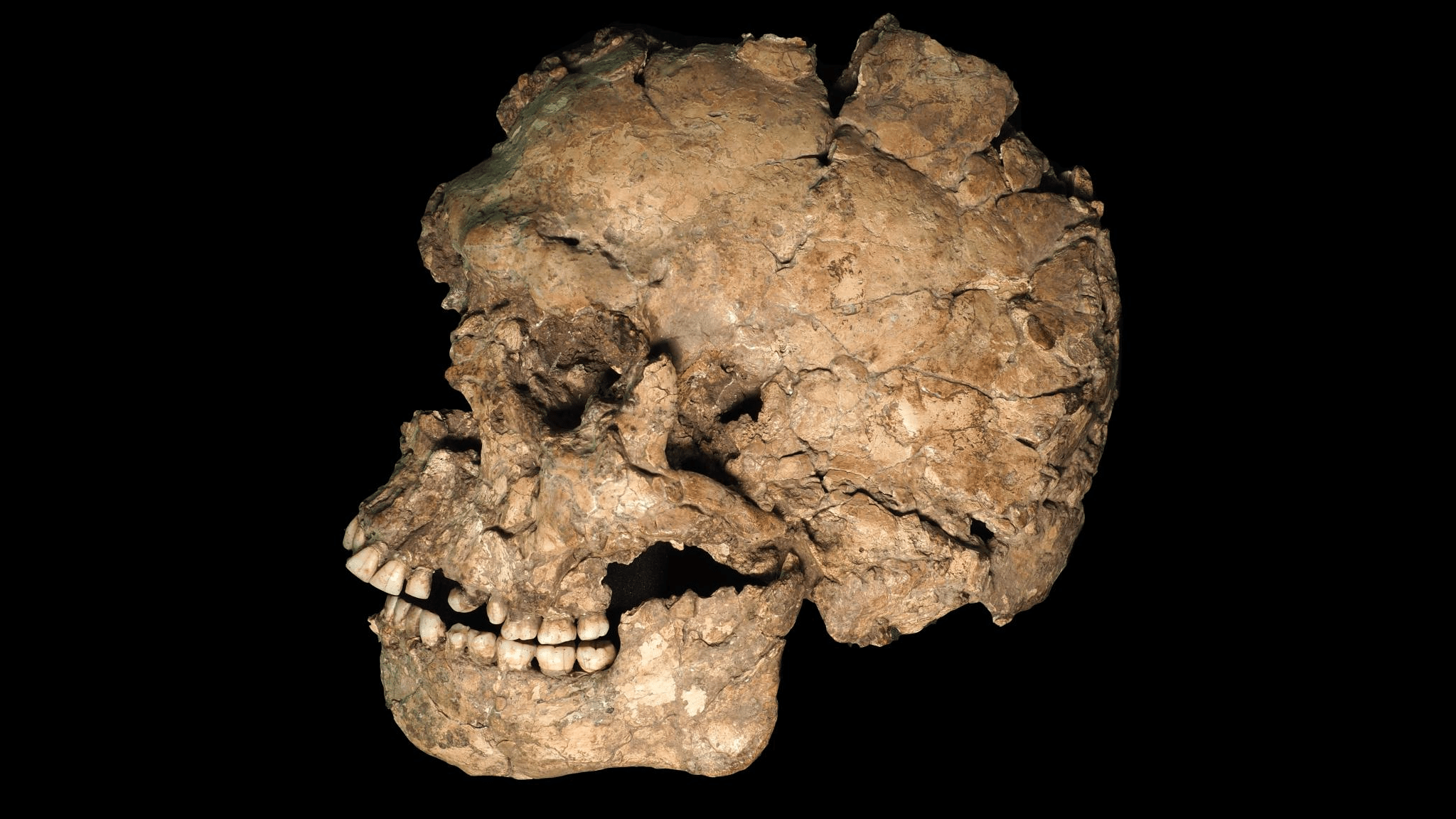 100,000-Year-Old Homo Sapiens Skull Reveals Shocking Evidence of Ancient Violence (2026)