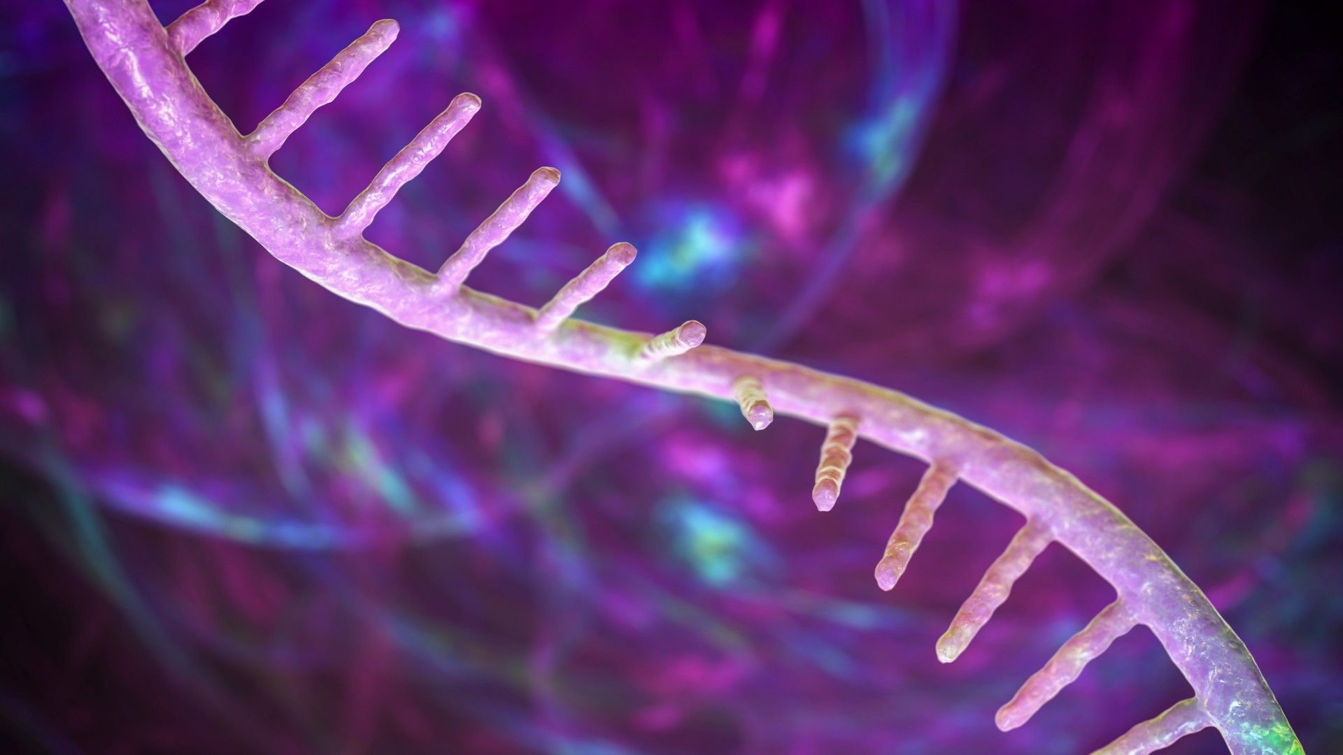 FDA Approves New mRNA Vaccine: What Does It Mean for the Future of Medicine? (2026)