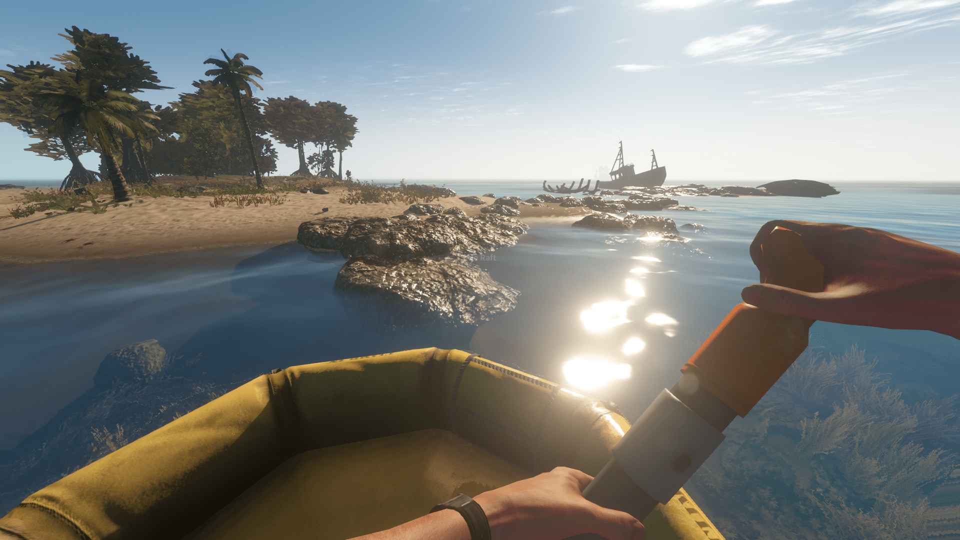 Game pc survival