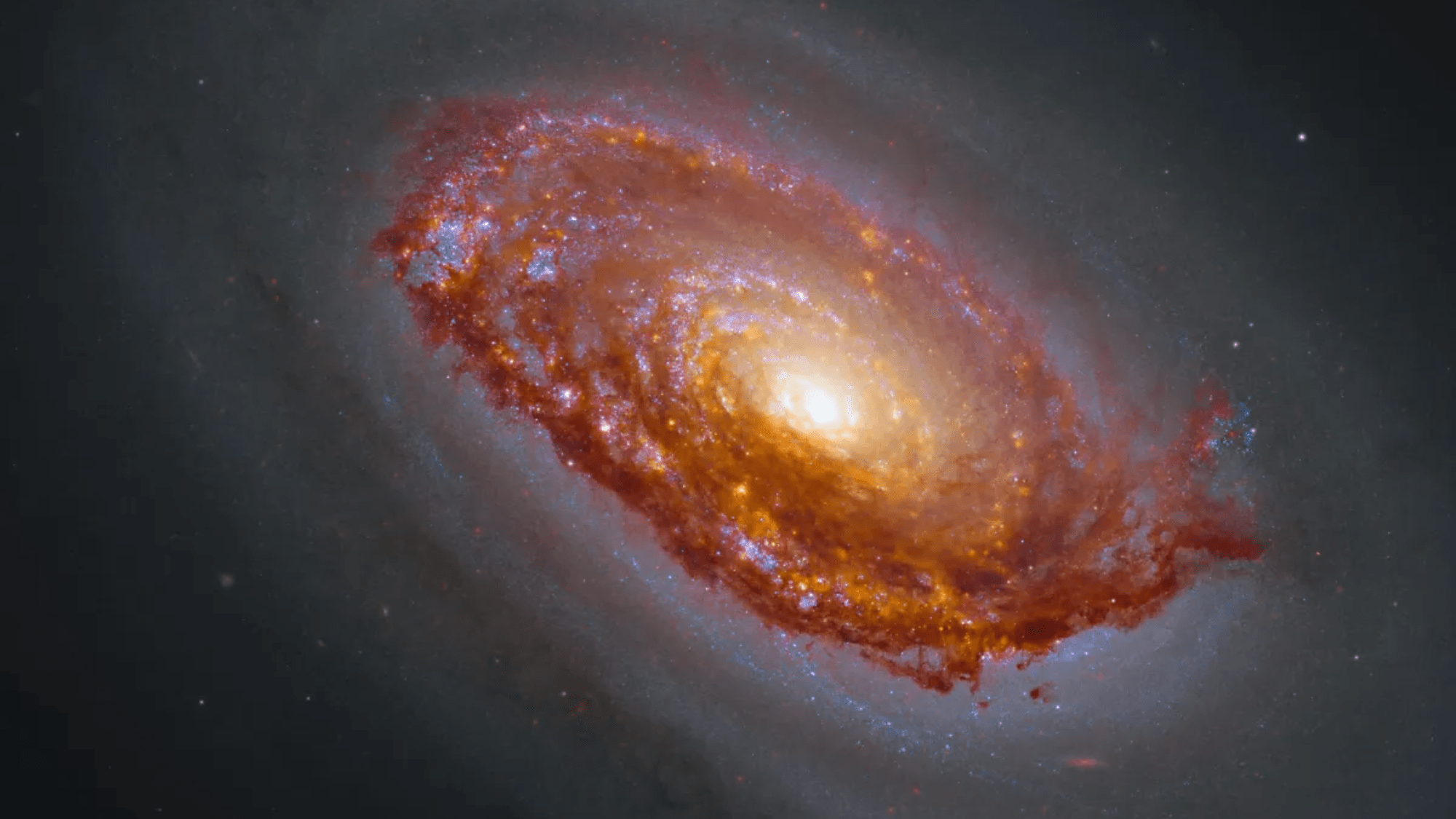 Hubble & James Webb Team Up: Stunning Black Eye Galaxy Revealed! (2026)