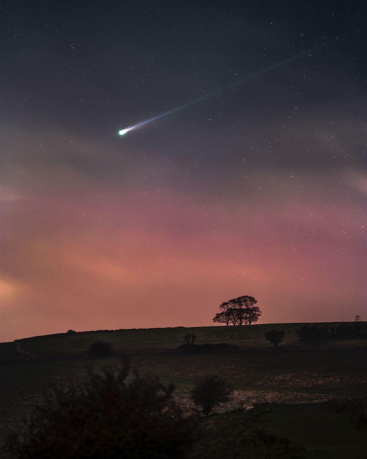 Un cometa pasa como un rayo desde la esquina superior derecha hasta la esquina inferior izquierda sobre un paisaje con la silueta de un árbol frente a un paisaje oscuro al atardecer.