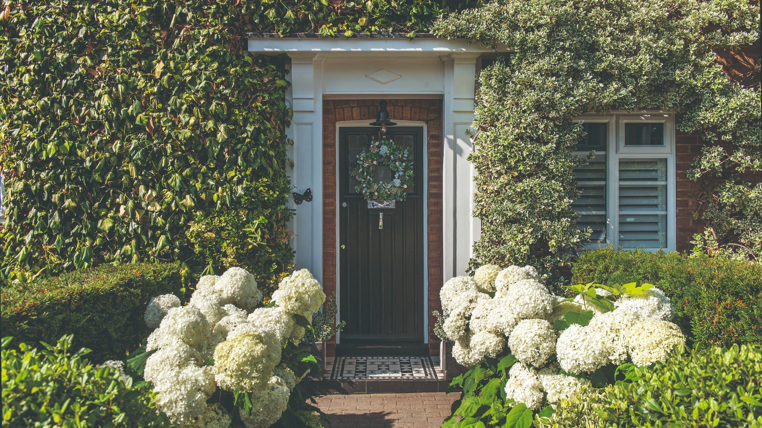 5 Drought-Tolerant Flowering Plants Replacing Hydrangeas in 2026 | Garden Makeover Ideas (2026)