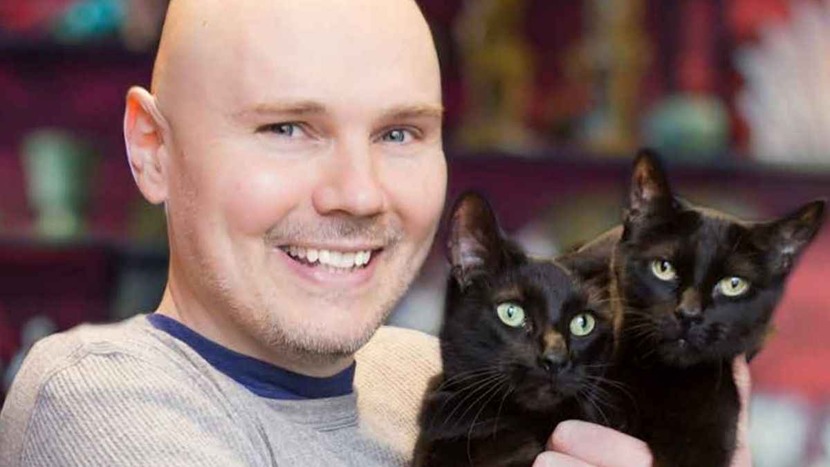 Billy corgan appears on magazine cover with kittens