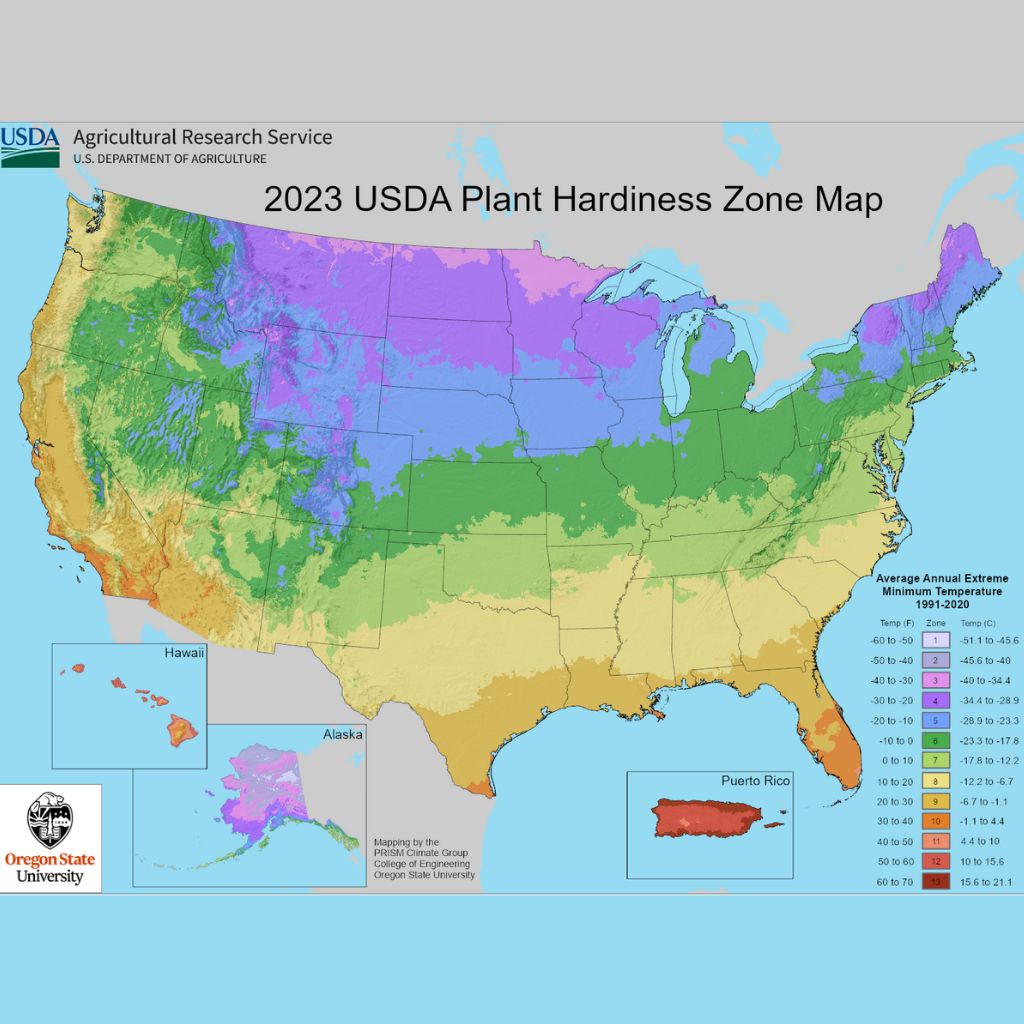 Zones For Plants United States At Roger Krug Blog 