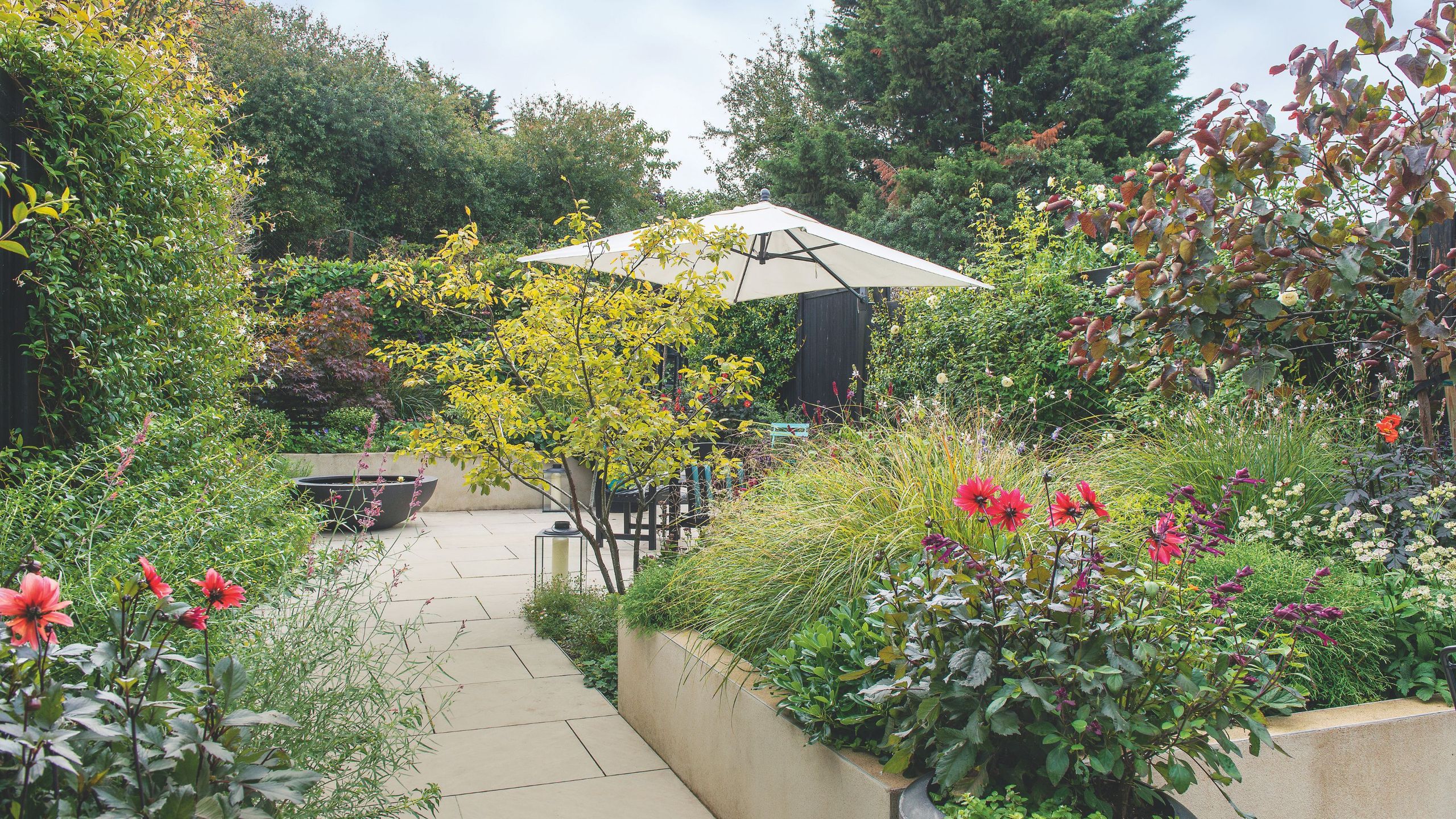 Why You Should NOT Weed Your Garden During a Heatwave | Gardening Tips 2023 (2026)