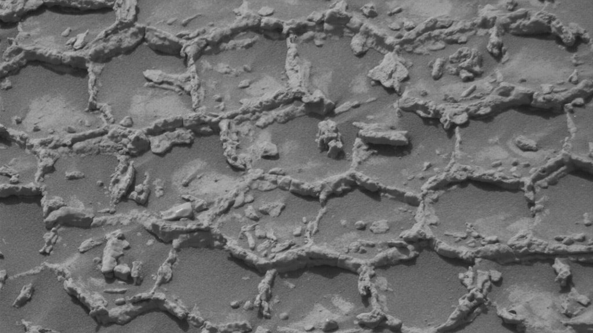 Unveiling Mars' Honeycomb Mystery: Curiosity's Latest Discovery (2026)