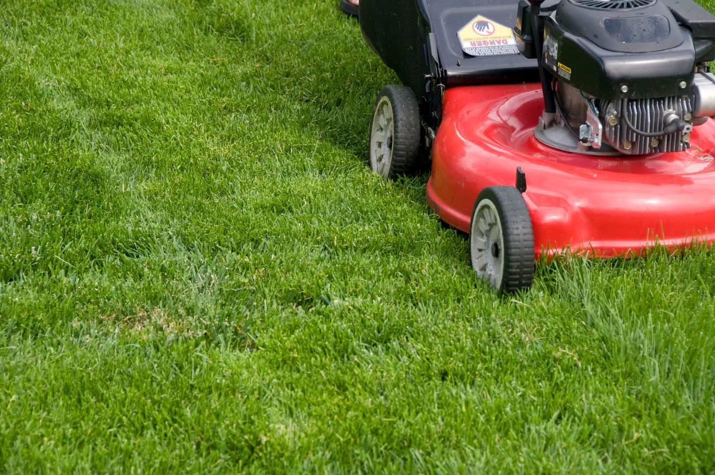 How to plant grass seed: the best ways to sow and grow a lawn, fast