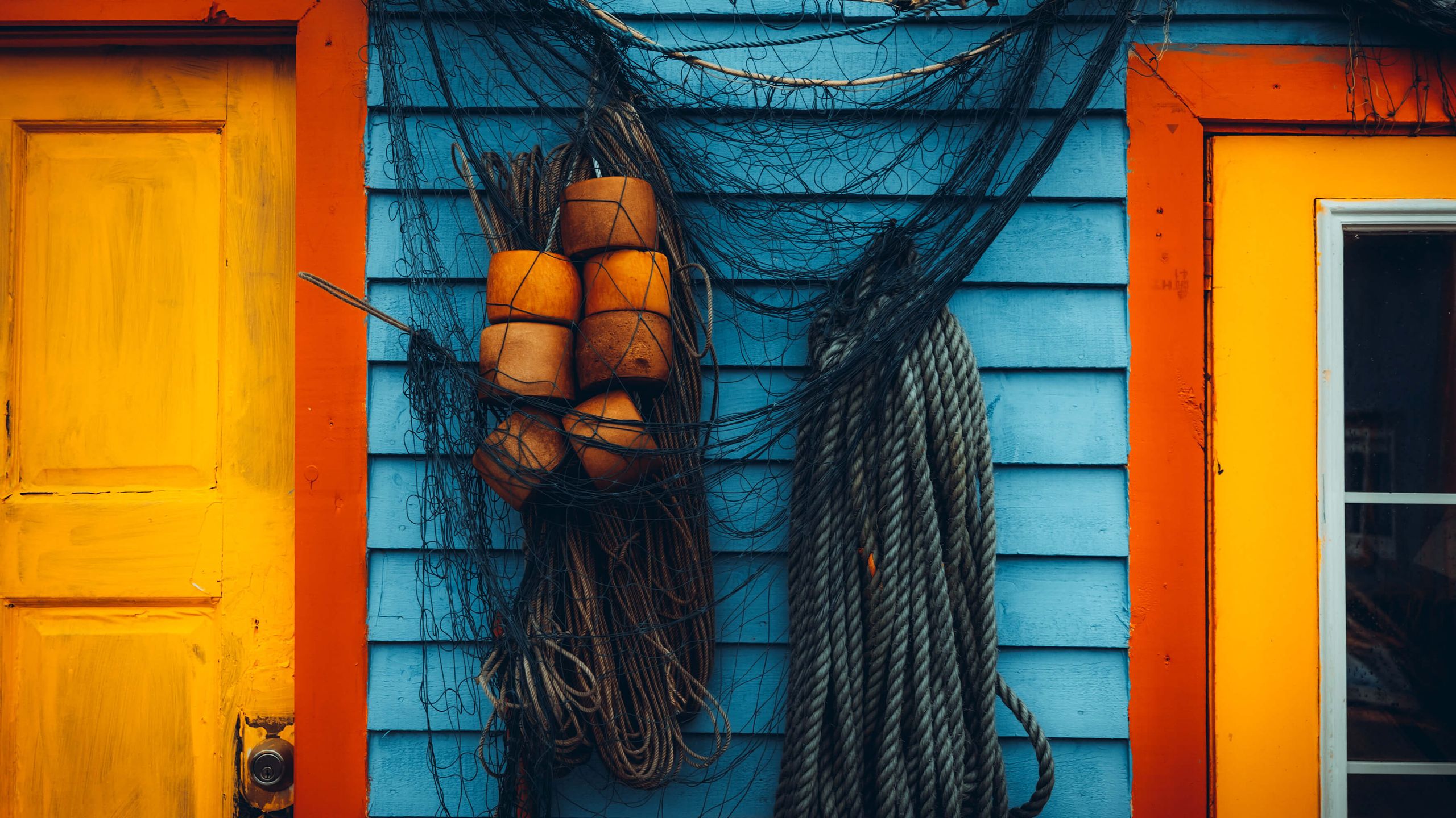 Fujifilm’s Sold-Out Color Hunt: How to Organize Your Own Photography Adventure! (2026)