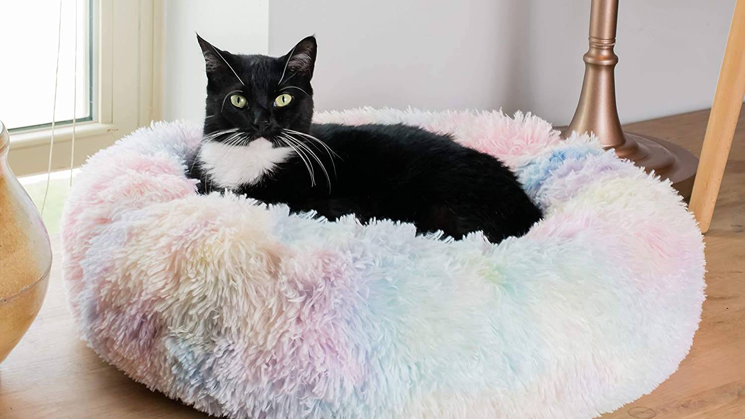 Amazinglycat marshmallow cat bed review