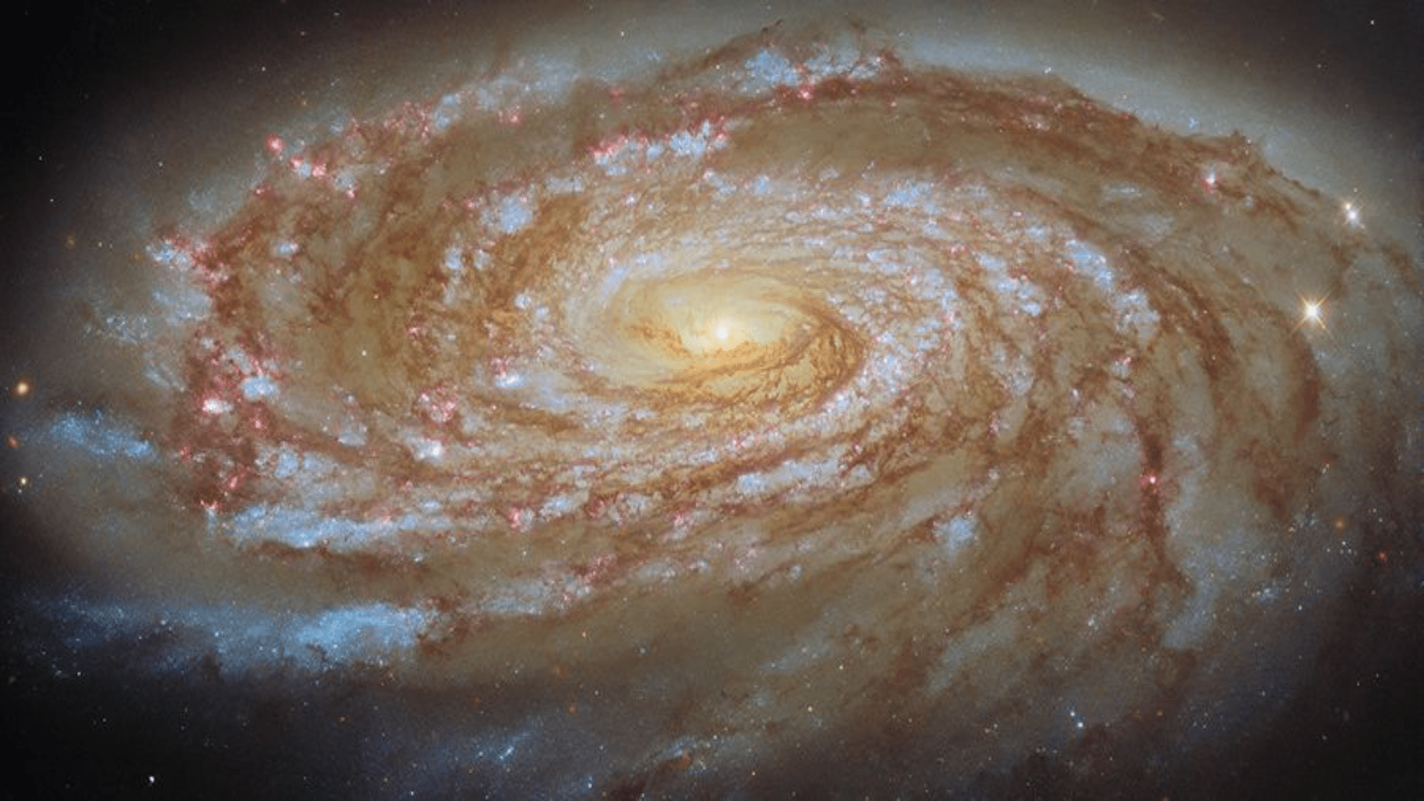 Swirling spiral galaxy will hypnotize you | Space photo of the day for June 10, 2026 (2026)