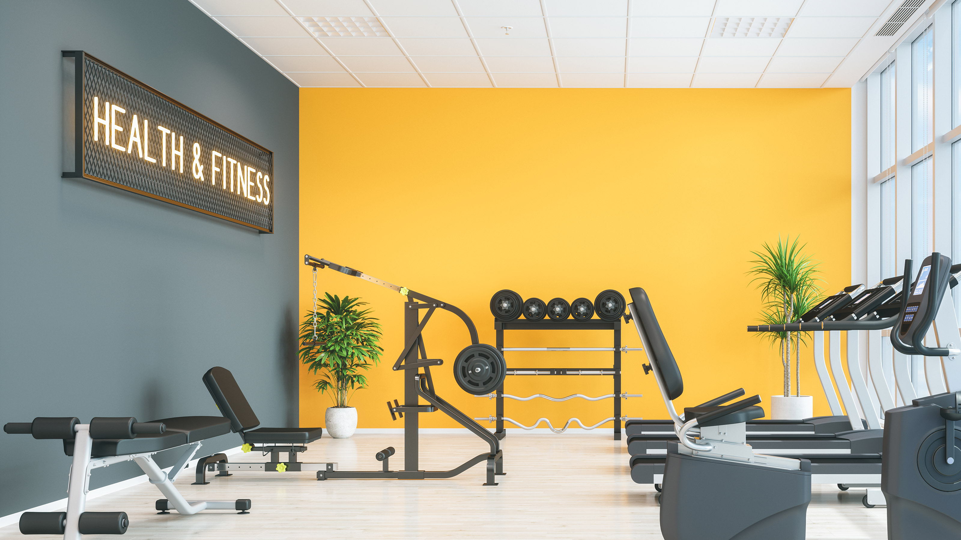 Home gym decorating ideas