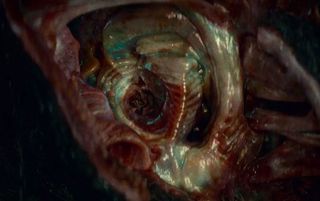 Una mirada inquietante al interior del oído interno de un extraterrestre
