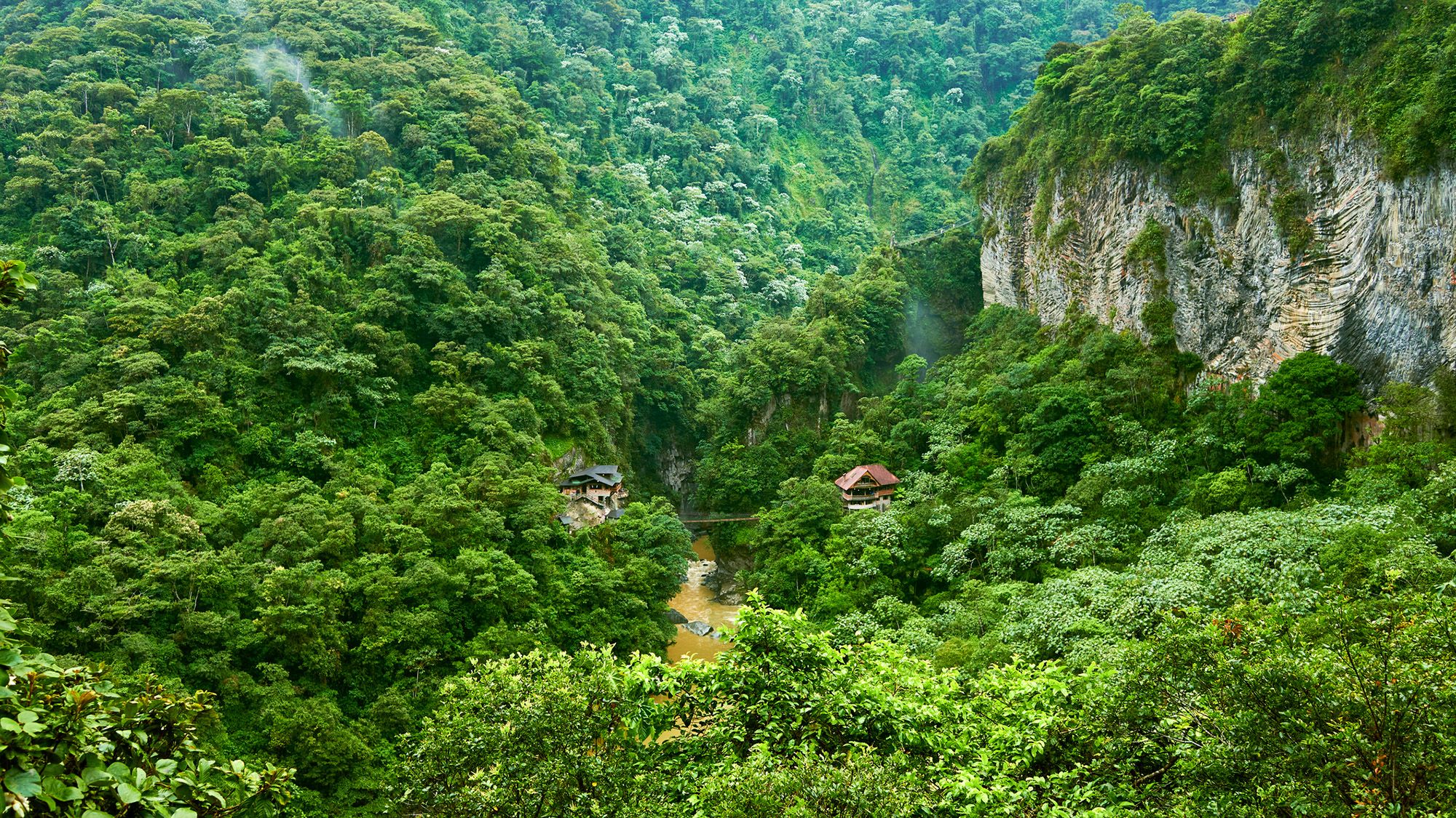 El Niño's Impact: Why Tropical Forests May Stop Absorbing CO2 (2026)
