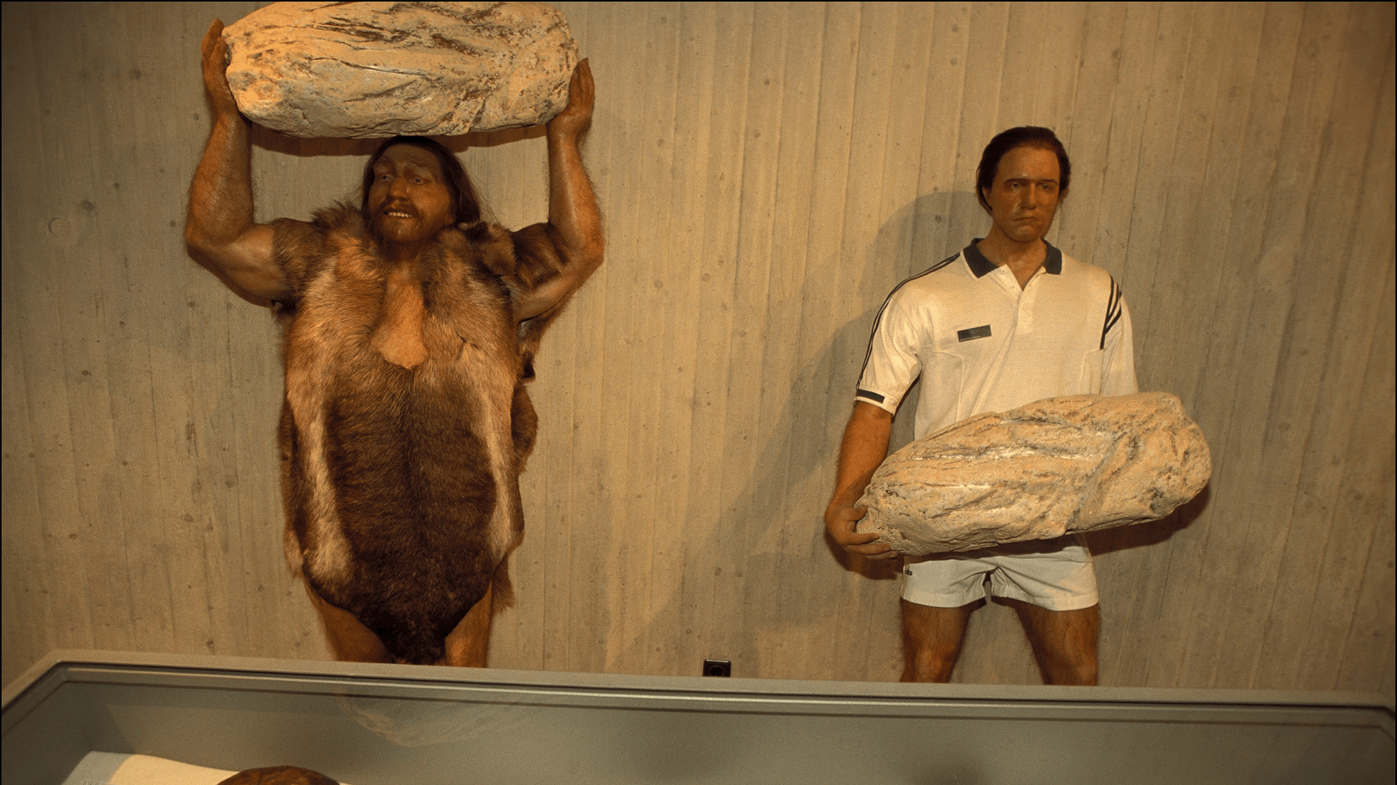 Neanderthal Gene Unlocked: How Ancient DNA Boosts Muscle Growth in Modern Humans (2026)