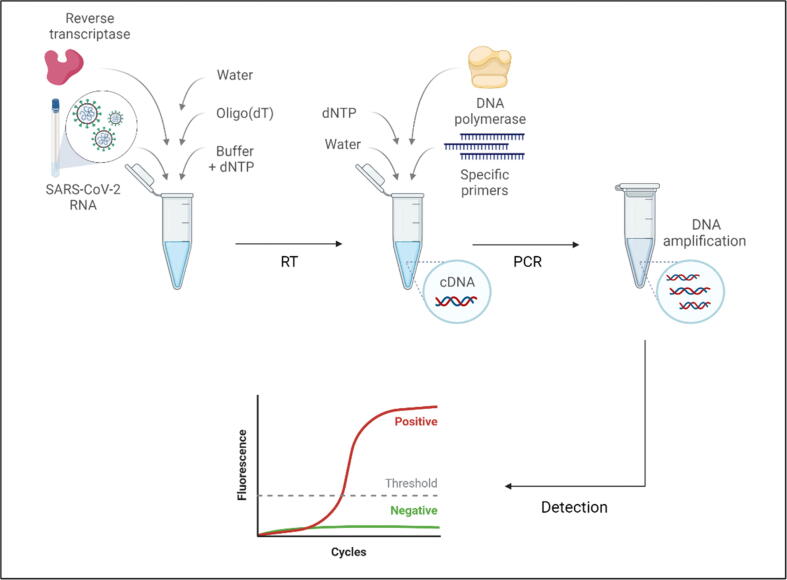 Generalised Schema Of Viral Rna Detection Of Sars Cov 2 In Download Scientific Diagram - Retina Ocean Textures for Desktop