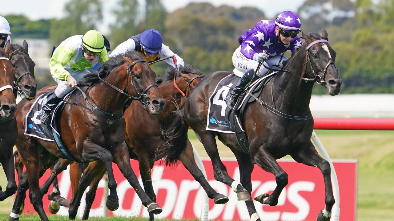 Dunkeld Cup 2021 Dates Horse Race Field Ticket Package Prices Vic The 558 race meetings are split as.