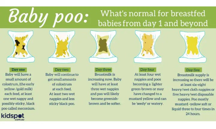 Normal breastfed baby poop, like as seen in this photo, is yellow or slightly green, and has a mushy or creamy consistency. baby stool color chart stools item