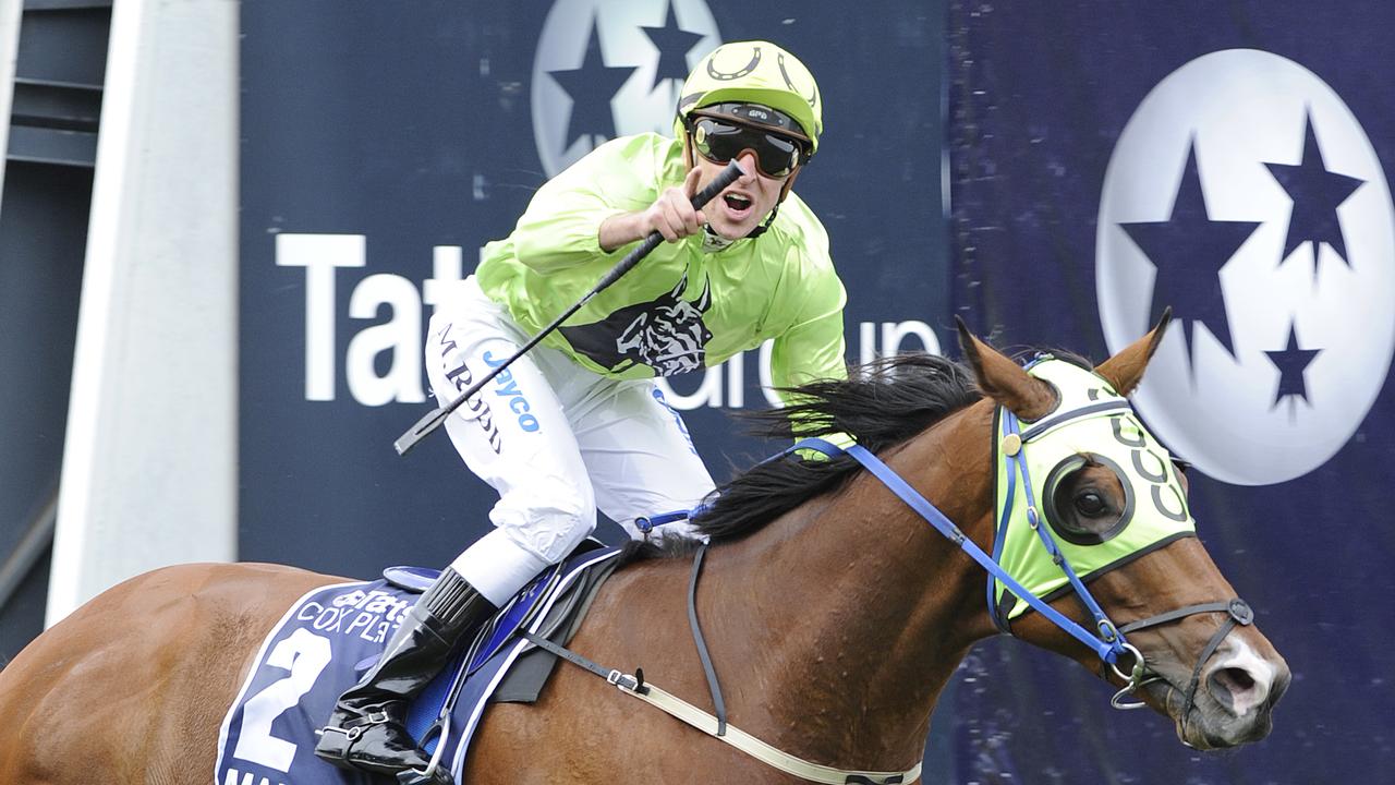 We take a look at each of the 18 horses in the caulfield cup field and we provide video form for each of them including the international horses in the field. Cox Plate champion Maldivian has died, aged 18