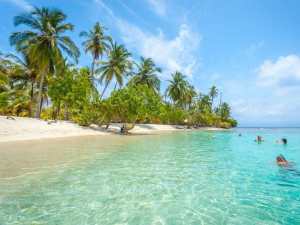 Microsoft Teams Tropical Background