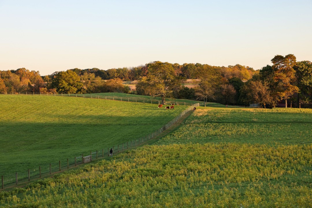 How AI is Turning Farmers into Millionaires (PENN STATE STORY) (2026)