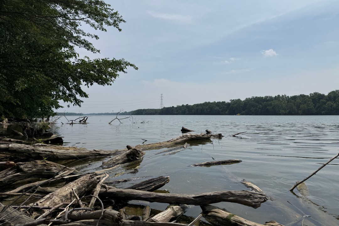 Attempt to Save Struggling Swimmer Leads to 5 Deaths in Ohio River (2026)