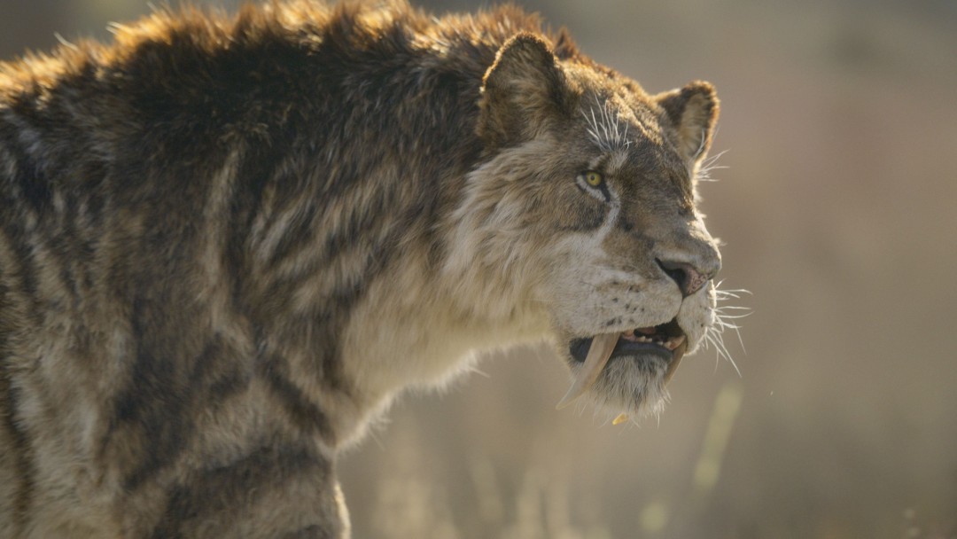 The Painful Truth: How Inbreeding Affected Saber-Toothed Cats (2026)