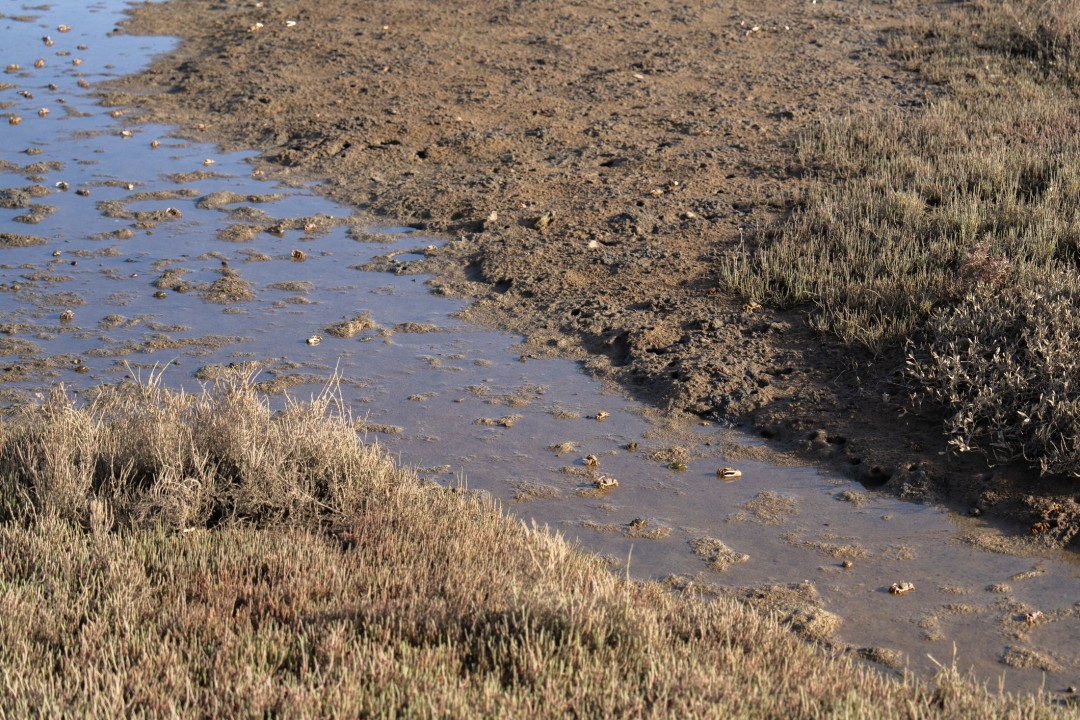 Man Rescued from Rising Tide: Knee-Deep in Mud on UK Riverbank! (2026)