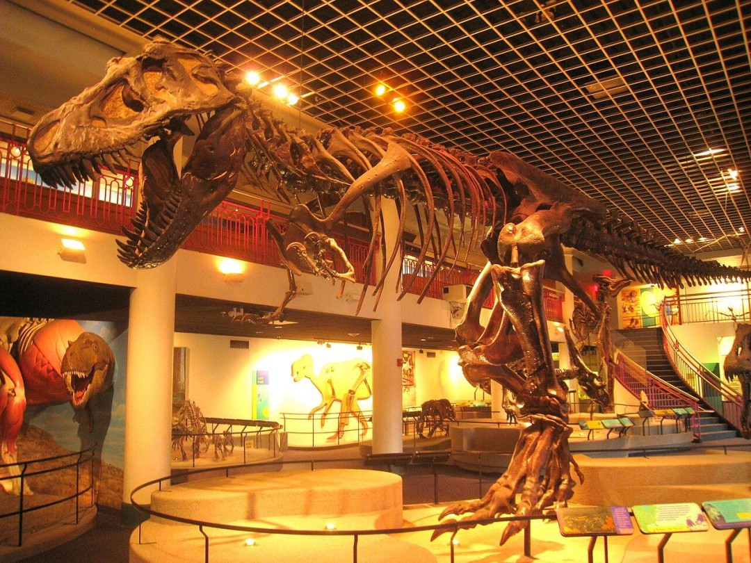 The End of an Era: America's Oldest Natural History Museum Closes Its Doors (2026)