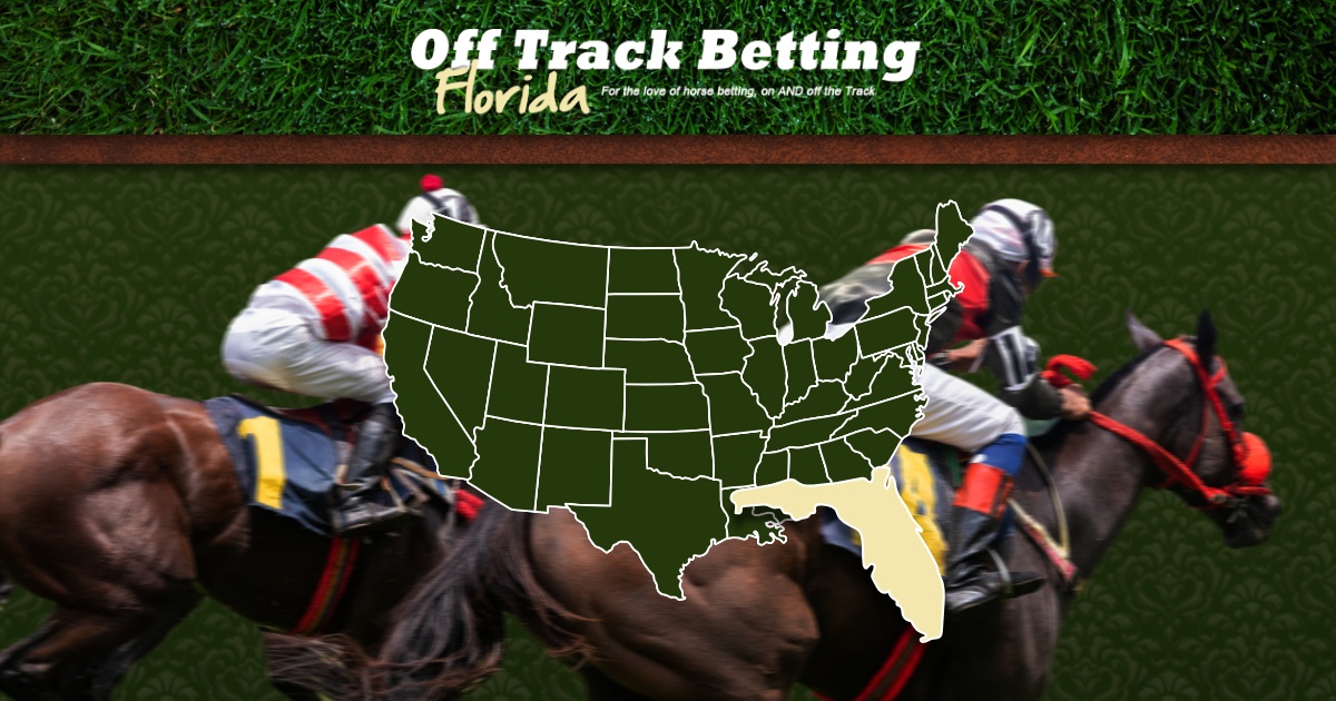 Horse Race Tracks Miami Florida Default Image 
