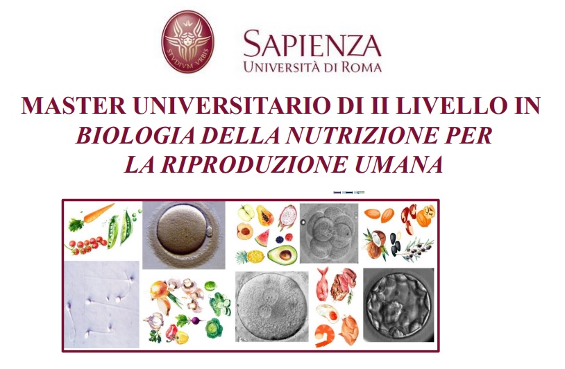 L'università "Sapienza" Di Roma Organizza Master Di Ii Livello In "Biologia Della Nutrizione Per La Riproduzione Umana" - Ordine Nazionale Dei Biologi 532_x_814_jpg