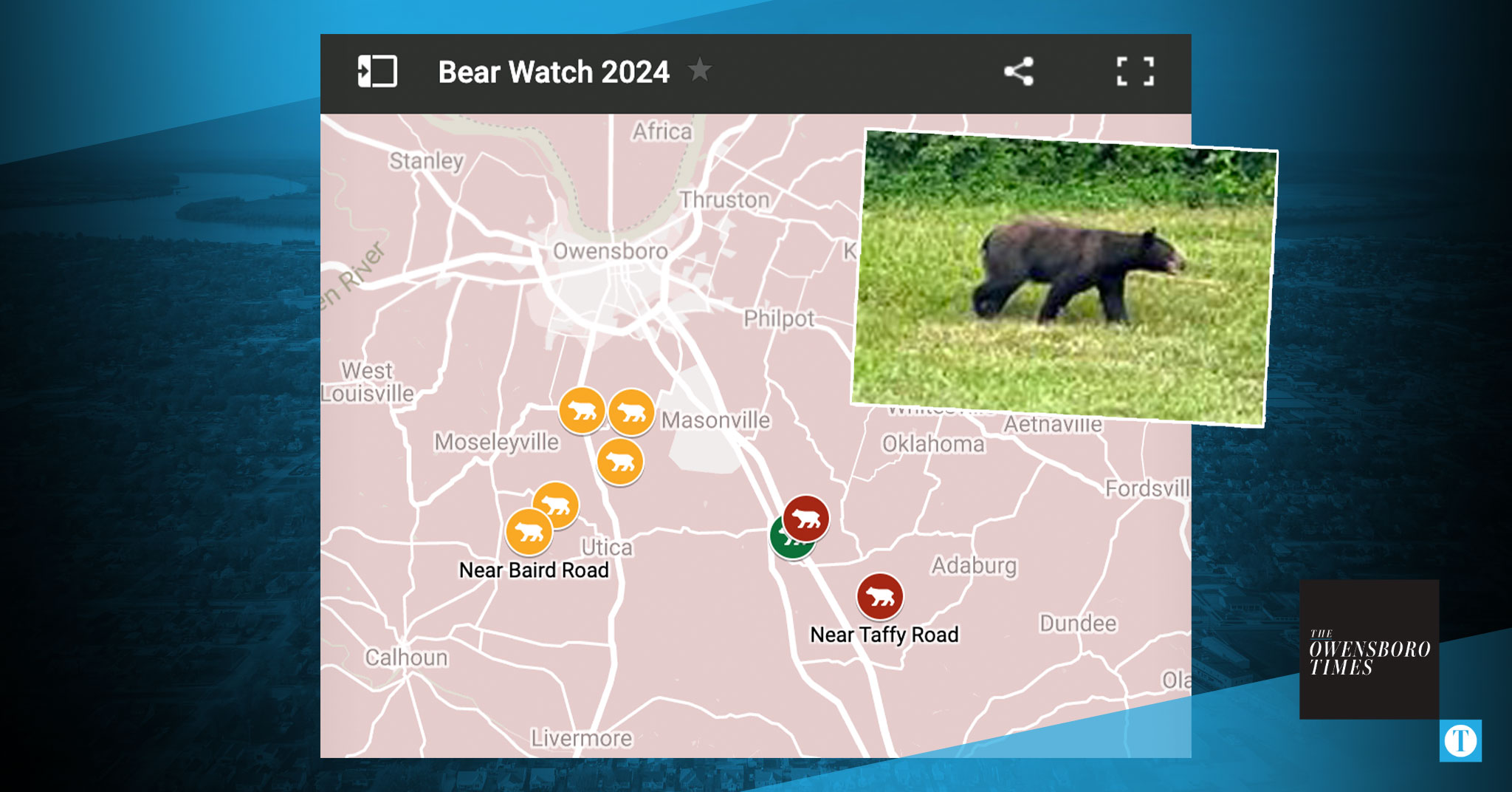 Bear Watch 2024 An Interactive Map Of Local Sightings The Owensboro BearWatch 