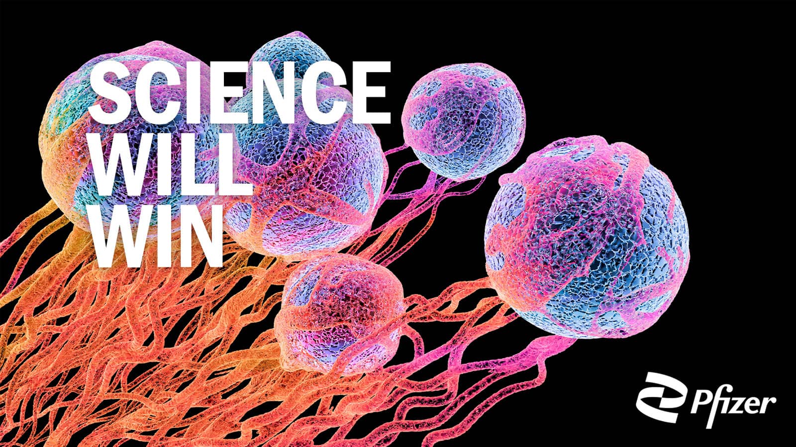 The Power of Biomarker Testing: A Lung Cancer Survivor's Story (2026)