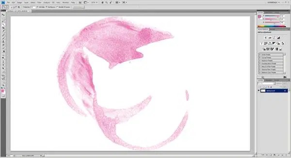 Watermelond Draws Photoshop Lightroom - Amazing Mobile Landscape Pictures | Free Download