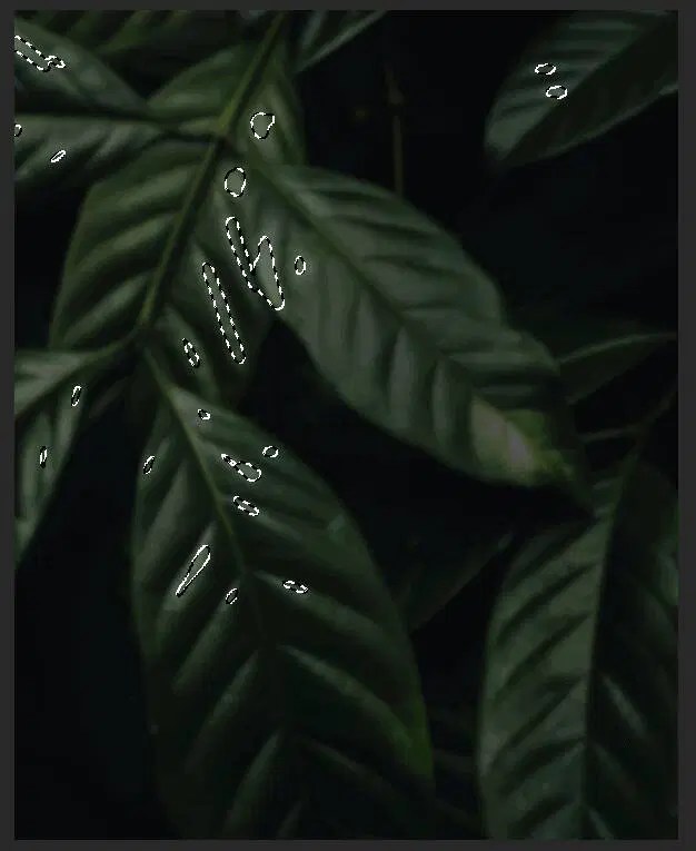 Graphic Panda Photoshop Lightroom - Best Minimal Images in HD