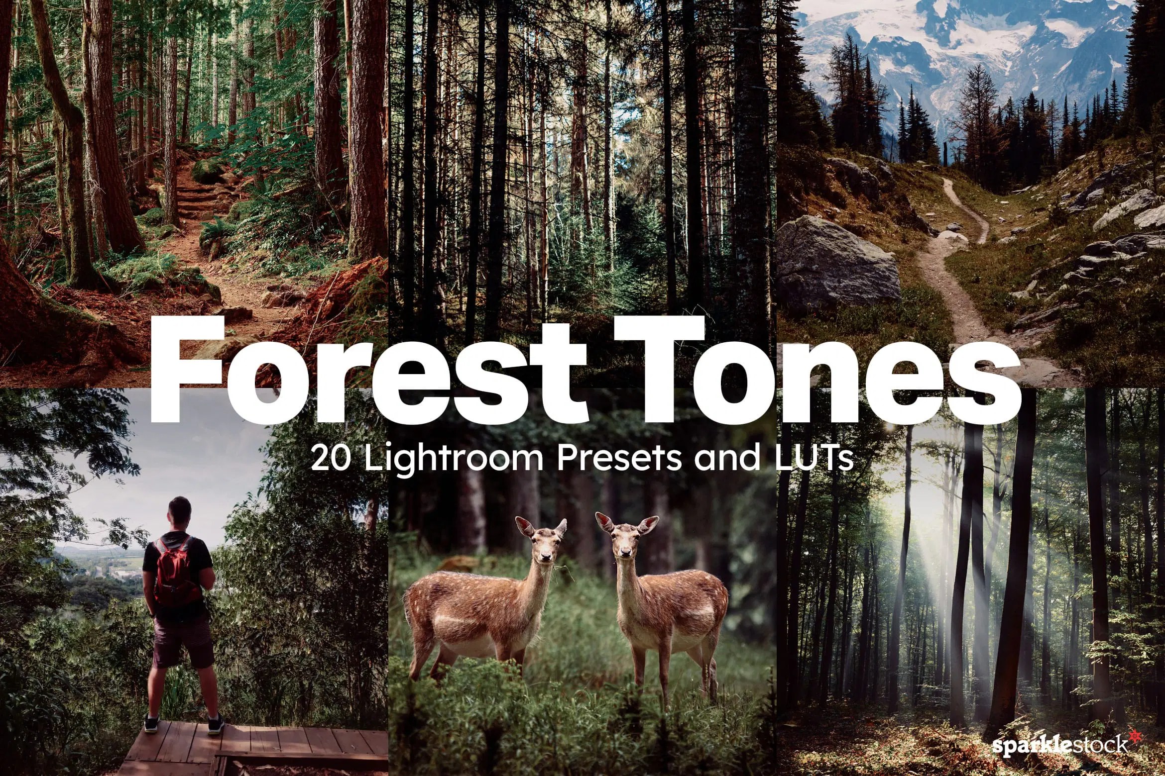 Bloom Photoshop Tutorials - 4K Minimal Pictures for Desktop