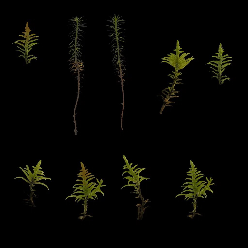 Moss 01 Model Poly Haven - Ultra HD Mobile Space Illustrations | Free Download