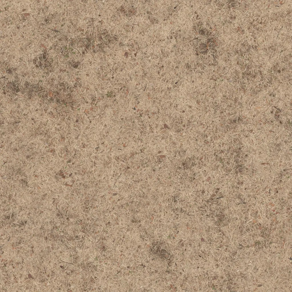 Withered Grass Texture Poly Haven - Elegant Abstract Pattern - 4K