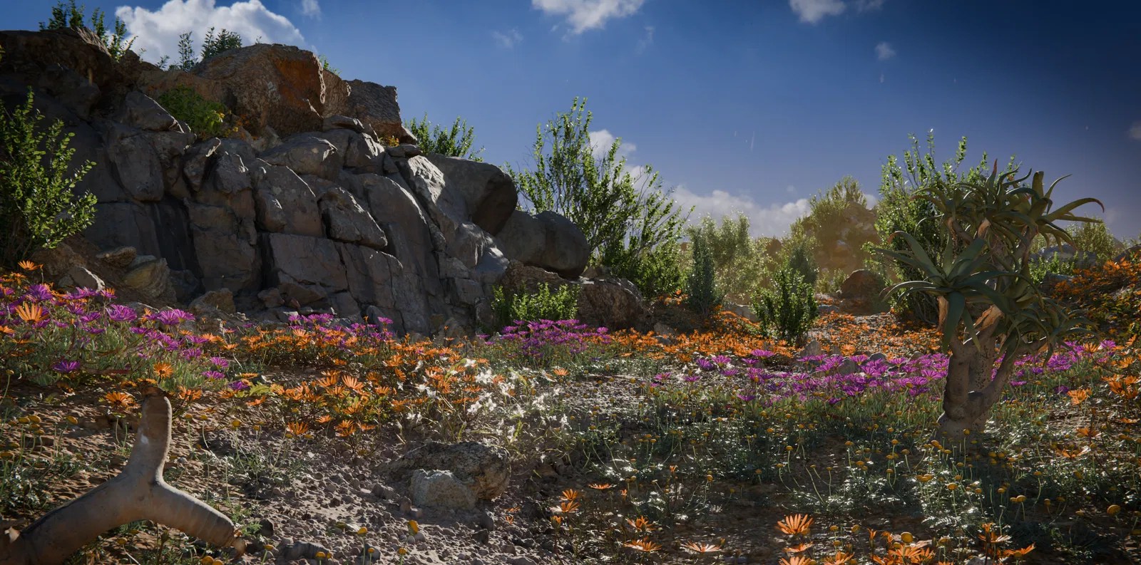 Models All Poly Haven - Space Illustrations - Premium 4K Collection