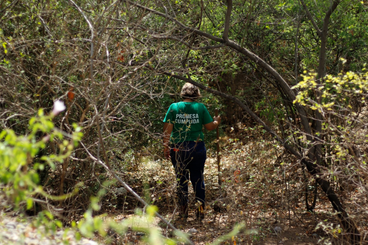 Las Rastreadoras de El Fuerte usan una camiseta verde cuando encuentran a su familiar desaparecido. Foto: Marcos Vizcarra
