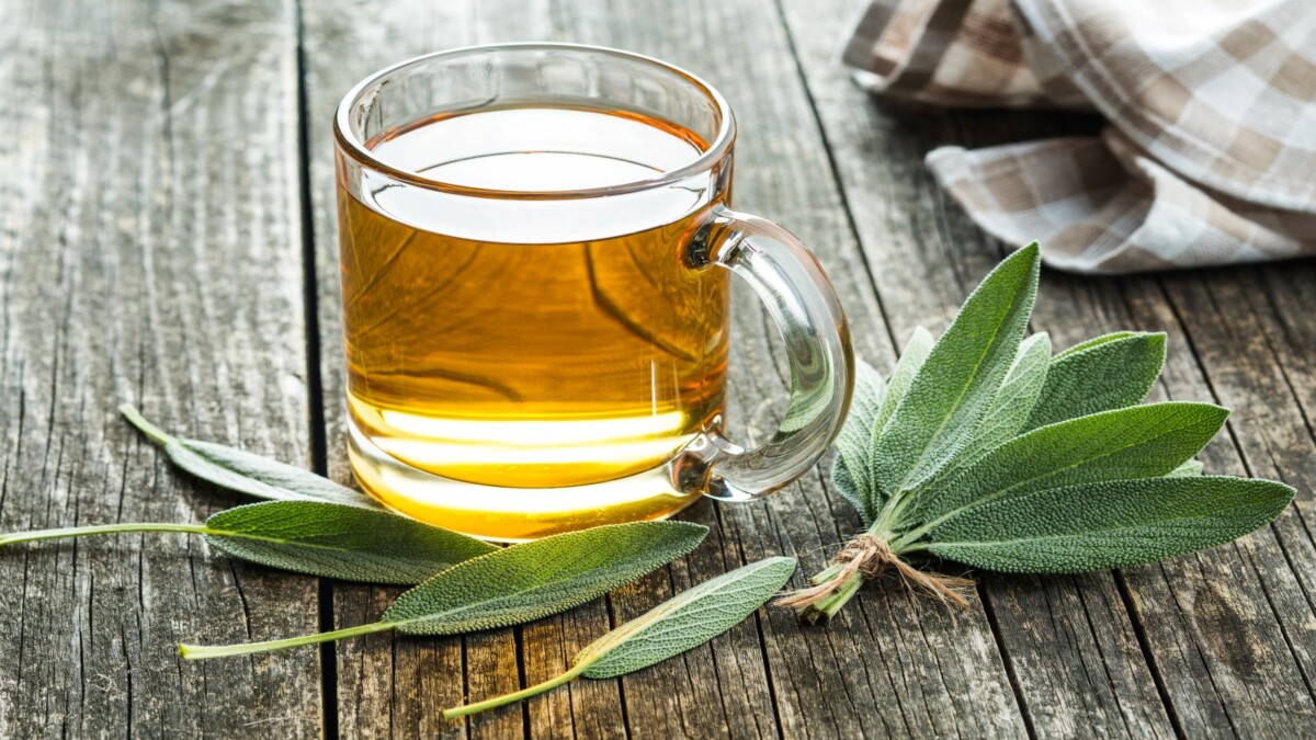 photo Sage Tea Pregnancy you drink sage tea every